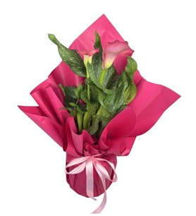 Erbaa Çiçekçi, Erbaa Çiçek Siparişi, Erbaa Çiçekçi numarası