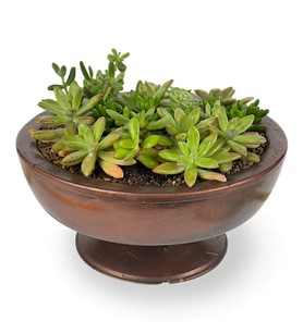 Erbaa Çiçekçi, Erbaa Çiçek Siparişi, Erbaa Çiçekçi numarası