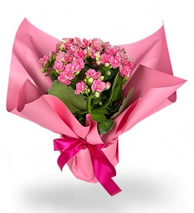 Erbaa Çiçekçi, Erbaa Çiçek Siparişi, Erbaa Çiçekçi numarası