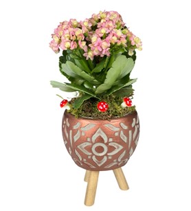 Erbaa Çiçekçi, Erbaa Çiçek Siparişi, Erbaa Çiçekçi numarası