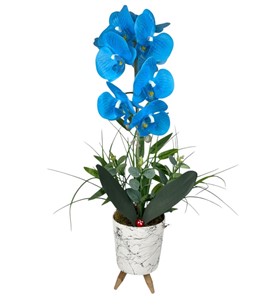 Erbaa Çiçekçi, Erbaa Çiçek Siparişi, Erbaa Çiçekçi numarası