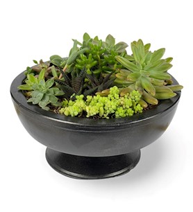 Erbaa Çiçekçi, Erbaa Çiçek Siparişi, Erbaa Çiçekçi numarası